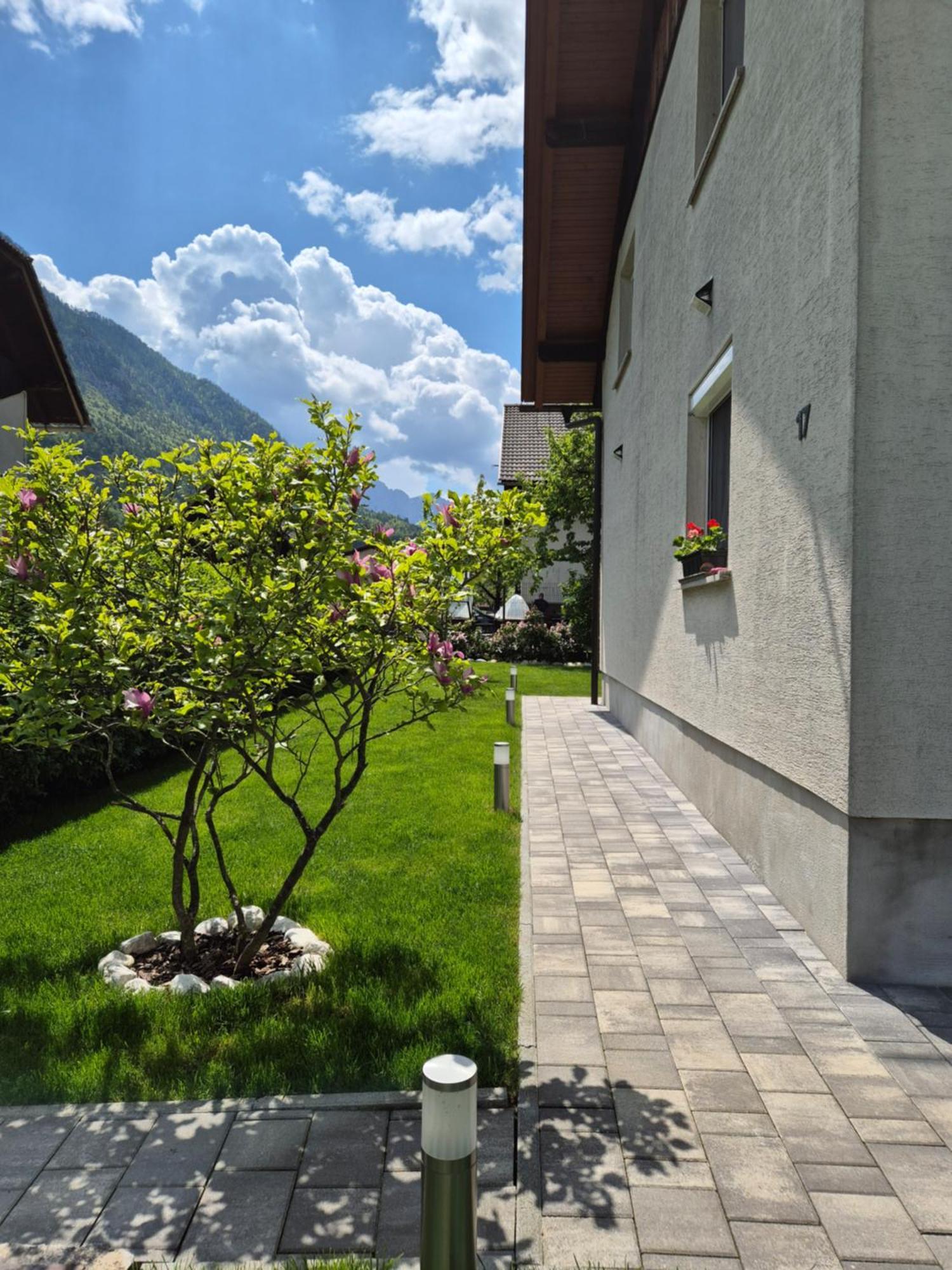Apartment Petra Mojstrana Exterior foto